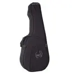Acoustic Guitar Deluxe Tric Case