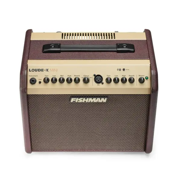 Fishman - Loudbox Mini Bluetooth - PRO-LBT-500