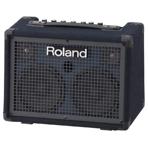 Roland - KC-220 Battery Powered Stereo Keyboard Amplifier
