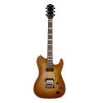Godin - Radium-X Rustic Burst